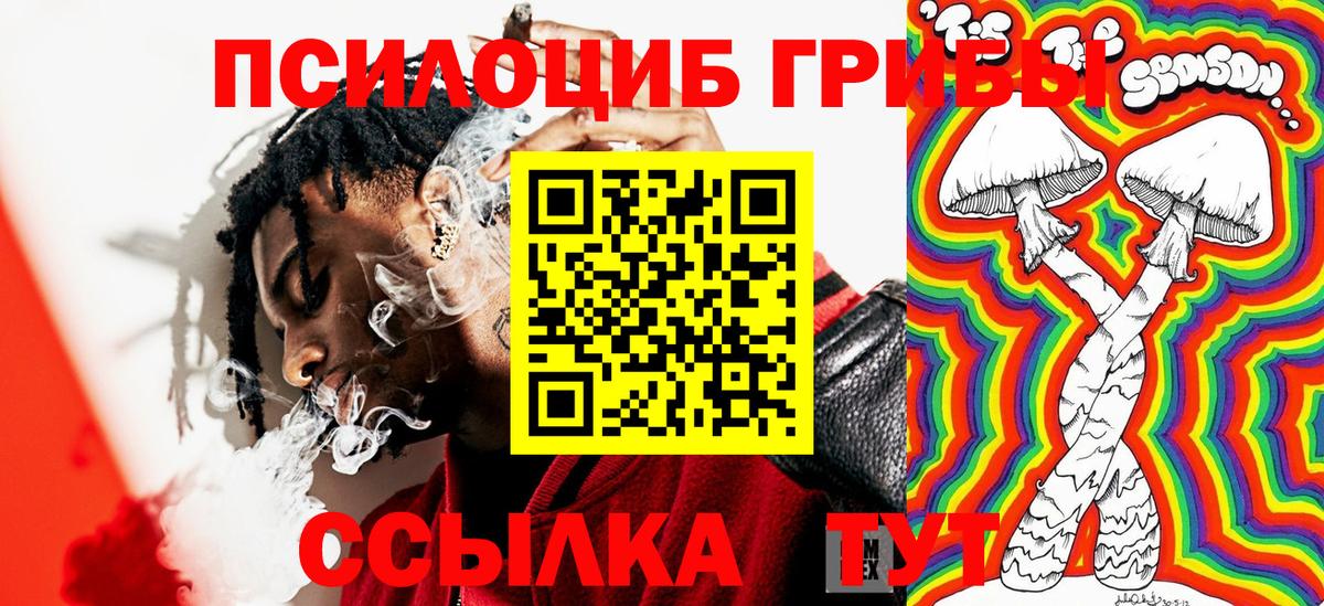 Кохма  Галлюциногенные грибы ЛСД  Вход с VPN 